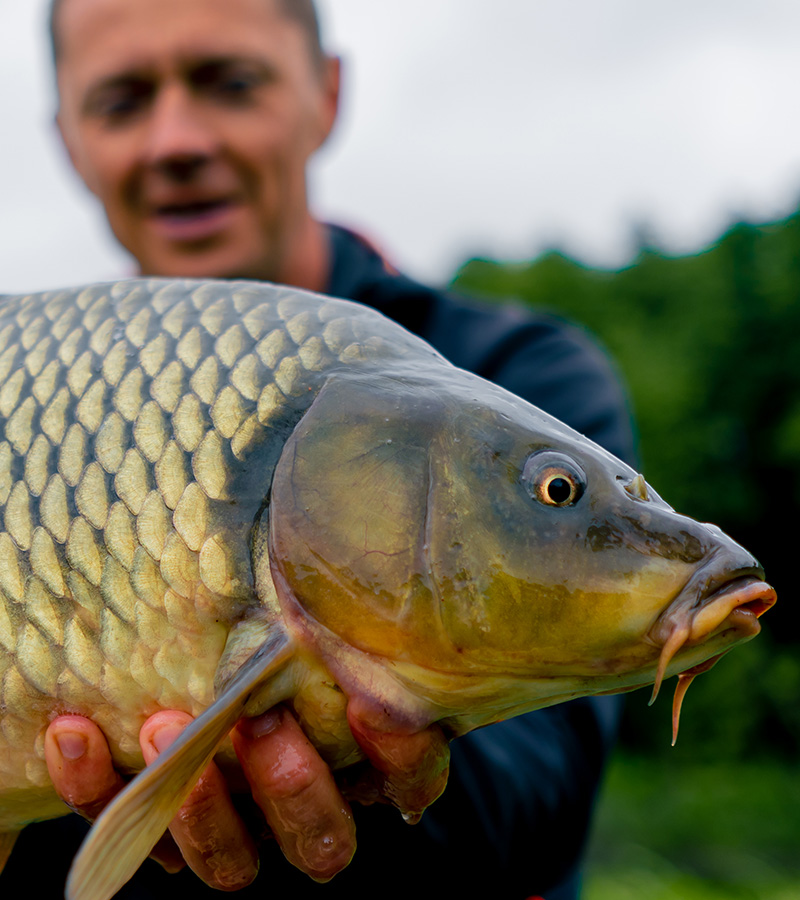 Les 10 erreurs à éviter quand on débute la pêche à la carpe